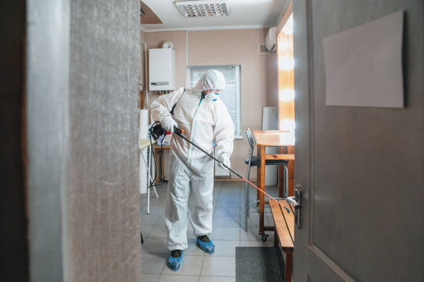 Asbestos and Lead Testing During Mold Inspection in Boiling Springs, SC