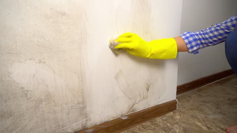 Best Mold Prevention Services  in Boiling Springs, SC