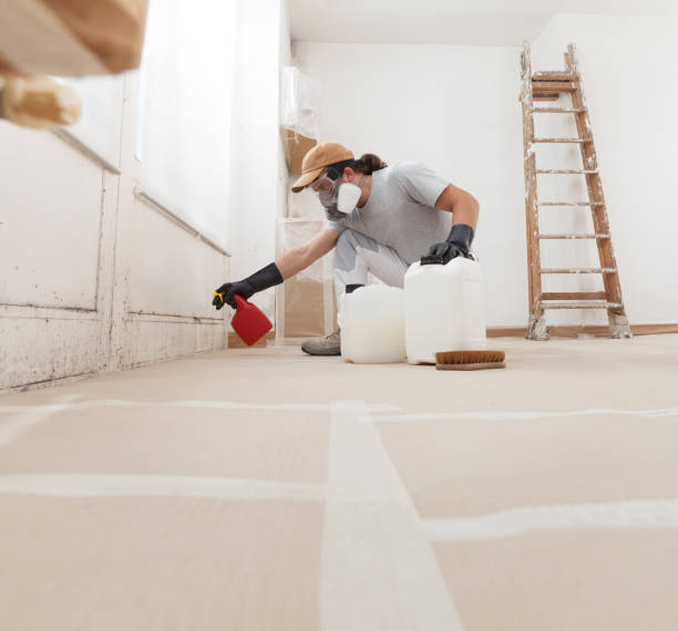 Best Asbestos and Lead Testing During Mold Inspection  in Boiling Springs, SC