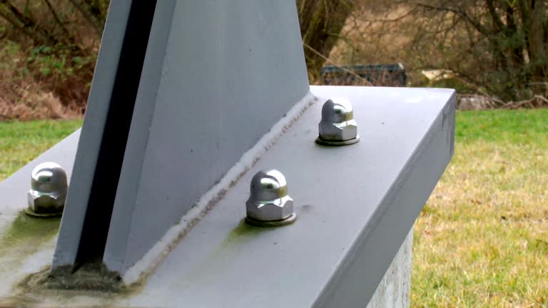 Best Biohazard Mold Removal  in Boiling Springs, SC
